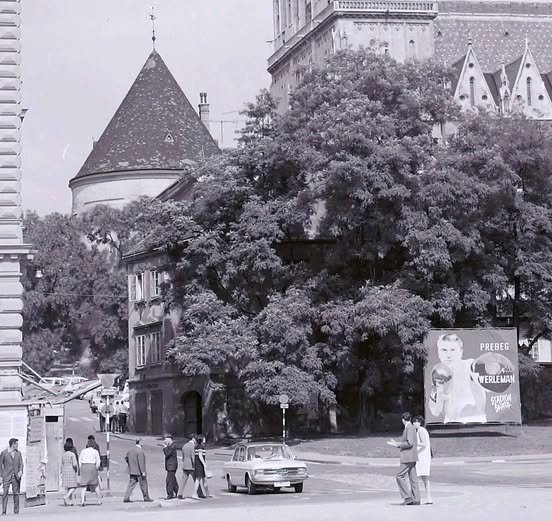 Bakačeva ulica 1968. godine